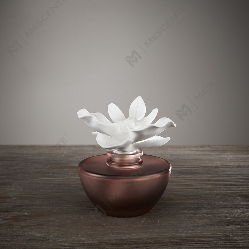 White Flower Mini Parfyme Aroma Reed Diffuser Oil, duft Thailand Reed Diffusers Gavesett
