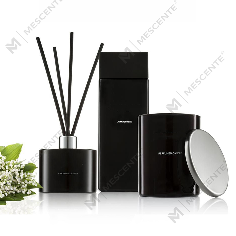 Private Label White Frosted Bottle Aromaterapi Reed Diffuser Oils With Box A29148