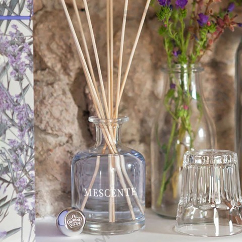 Forskjellen mellom Aroma Reed Diffuser og luftfukter